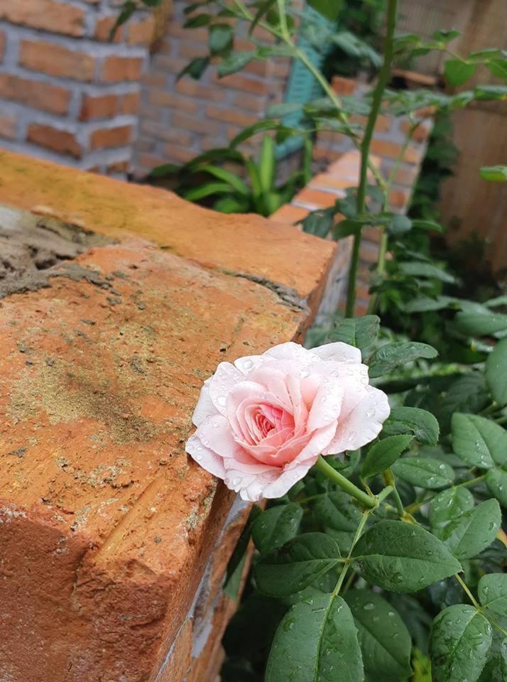 Nam Thi Holiday Home Cai Be Zewnętrze zdjęcie